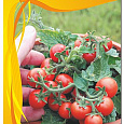 Томат (Помидор) Декоративный Балконое чудо  Бонсай Микро F1