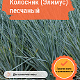 Колосняк (Элимус) песчаный Колосняк (Элимус) песчаный